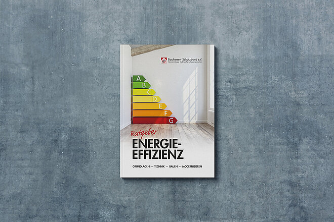 Unseren Ratgeber Energieeffizienz können Sie kostenlos über unsere Website bestellen.